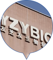 永鑫国际(中国游)有限公司官网